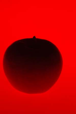 19_blood shade