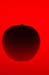 19_blood shade